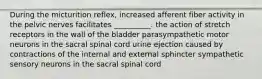 During the micturition reflex, increased afferent fiber activity in the pelvic nerves facilitates __________. the action of stretch receptors in the wall of the bladder parasympathetic motor neurons in the sacral spinal cord urine ejection caused by contractions of the internal and external sphincter sympathetic sensory neurons in the sacral spinal cord