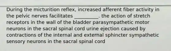 During the micturition reflex, increased afferent fiber activity in the pelvic nerves facilitates __________. the action of stretch receptors in the wall of the bladder parasympathetic motor neurons in the sacral spinal cord urine ejection caused by contractions of the internal and external sphincter sympathetic sensory neurons in the sacral spinal cord