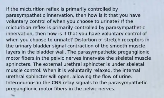 If the micturition reflex is primarily controlled by parasympathetic innervation, then how is it that you have voluntary control of when you choose to urinate? If the micturition reflex is primarily controlled by parasympathetic innervation, then how is it that you have voluntary control of when you choose to urinate? Distortion of stretch receptors in the urinary bladder signal contraction of the smooth muscle layers in the bladder wall. The parasympathetic preganglionic motor fibers in the pelvic nerves innervate the skeletal muscle sphincters. The external urethral sphincter is under skeletal muscle control. When it is voluntarily relaxed, the internal urethral sphincter will open, allowing the flow of urine. Interneurons in the CNS relay signals to the parasympathetic preganglionic motor fibers in the pelvic nerves.