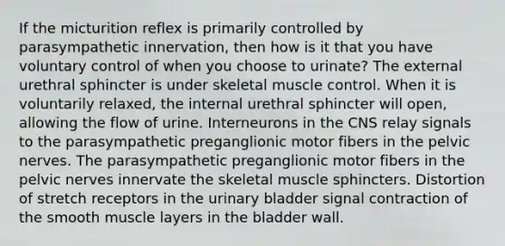 If the micturition reflex is primarily controlled by parasympathetic innervation, then how is it that you have voluntary control of when you choose to urinate? The external urethral sphincter is under skeletal muscle control. When it is voluntarily relaxed, the internal urethral sphincter will open, allowing the flow of urine. Interneurons in the CNS relay signals to the parasympathetic preganglionic motor fibers in the pelvic nerves. The parasympathetic preganglionic motor fibers in the pelvic nerves innervate the skeletal muscle sphincters. Distortion of stretch receptors in the <a href='https://www.questionai.com/knowledge/kb9SdfFdD9-urinary-bladder' class='anchor-knowledge'>urinary bladder</a> signal contraction of the smooth muscle layers in the bladder wall.