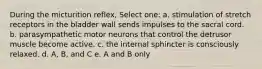 During the micturition reflex, Select one: a. stimulation of stretch receptors in the bladder wall sends impulses to the sacral cord. b. parasympathetic motor neurons that control the detrusor muscle become active. c. the internal sphincter is consciously relaxed. d. A, B, and C e. A and B only