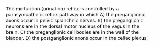 The micturition (urination) reflex is controlled by a parasympathetic reflex pathway in which A) the preganglionic axons occur in pelvic splanchnic nerves. B) the preganglionic neurons are in the dorsal motor nucleus of the vagus in the brain. C) the preganglionic cell bodies are in the wall of the bladder. D) the postganglionic axons occur in the celiac plexus.