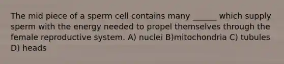 The mid piece of a sperm cell contains many ______ which supply sperm with the energy needed to propel themselves through the <a href='https://www.questionai.com/knowledge/kGn6bIpZ8k-female-reproductive-system' class='anchor-knowledge'>female reproductive system</a>. A) nuclei B)mitochondria C) tubules D) heads