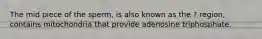 The mid piece of the sperm, is also known as the ? region, contains mitochondria that provide adenosine triphosphate.