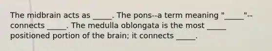 The midbrain acts as _____. The pons--a term meaning "_____"--connects _____. The medulla oblongata is the most _____ positioned portion of the brain; it connects _____.