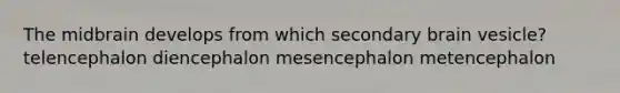 The midbrain develops from which secondary brain vesicle? telencephalon diencephalon mesencephalon metencephalon