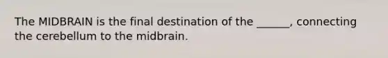 The MIDBRAIN is the final destination of the ______, connecting the cerebellum to the midbrain.