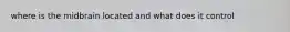 where is the midbrain located and what does it control