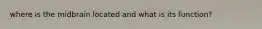 where is the midbrain located and what is its function?