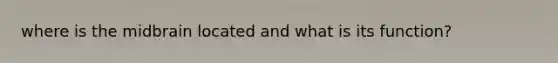 where is the midbrain located and what is its function?