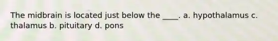 The midbrain is located just below the ____. a. hypothalamus c. thalamus b. pituitary d. pons