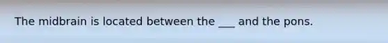The midbrain is located between the ___ and the pons.