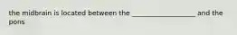 the midbrain is located between the ___________________ and the pons