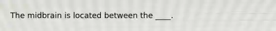 The midbrain is located between the ____.