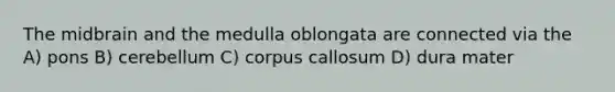 The midbrain and the medulla oblongata are connected via the A) pons B) cerebellum C) corpus callosum D) dura mater