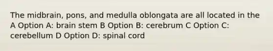 The midbrain, pons, and medulla oblongata are all located in the A Option A: brain stem B Option B: cerebrum C Option C: cerebellum D Option D: spinal cord