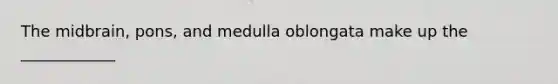 The midbrain, pons, and medulla oblongata make up the ____________