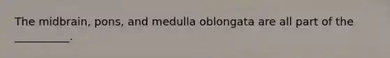 The midbrain, pons, and medulla oblongata are all part of the __________.