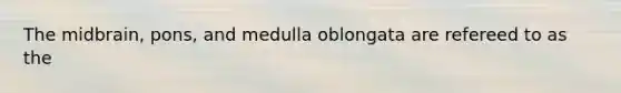 The midbrain, pons, and medulla oblongata are refereed to as the