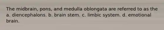 The midbrain, pons, and medulla oblongata are referred to as the a. diencephalons. b. brain stem. c. limbic system. d. emotional brain.