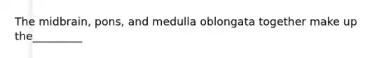 The midbrain, pons, and medulla oblongata together make up the_________