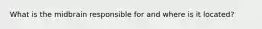 What is the midbrain responsible for and where is it located?