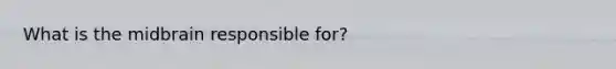What is the midbrain responsible for?