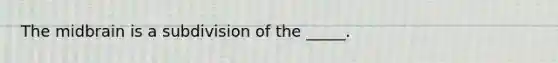 The midbrain is a subdivision of the _____.