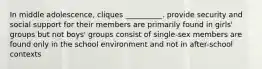 In middle adolescence, cliques __________. provide security and social support for their members are primarily found in girls' groups but not boys' groups consist of single-sex members are found only in the school environment and not in after-school contexts