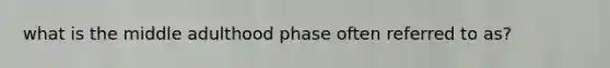 what is the middle adulthood phase often referred to as?