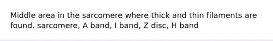 Middle area in the sarcomere where thick and thin filaments are found. sarcomere, A band, I band, Z disc, H band