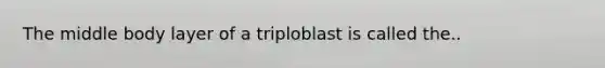 The middle body layer of a triploblast is called the..