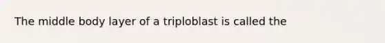 The middle body layer of a triploblast is called the