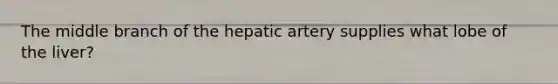 The middle branch of the hepatic artery supplies what lobe of the liver?