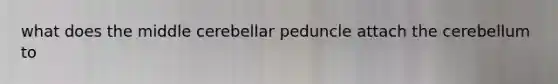 what does the middle cerebellar peduncle attach the cerebellum to