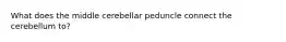 What does the middle cerebellar peduncle connect the cerebellum to?