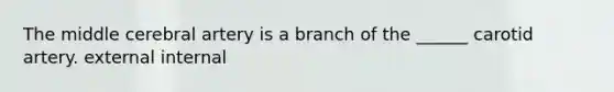 The middle cerebral artery is a branch of the ______ carotid artery. external internal