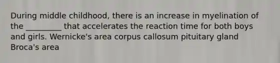 During middle childhood, there is an increase in myelination of the _________ that accelerates the reaction time for both boys and girls. Wernicke's area corpus callosum pituitary gland Broca's area