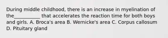 During middle childhood, there is an increase in myelination of the___________ that accelerates the reaction time for both boys and girls. A. Broca's area B. Wernicke's area C. Corpus callosum D. Pituitary gland
