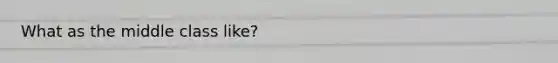 What as the middle class like?