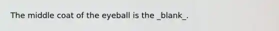 The middle coat of the eyeball is the _blank​_.