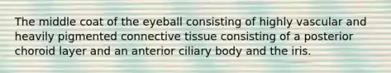 The middle coat of the eyeball consisting of highly vascular and heavily pigmented connective tissue consisting of a posterior choroid layer and an anterior ciliary body and the iris.