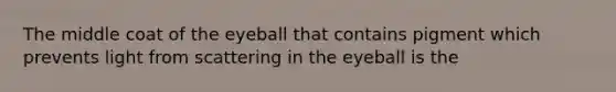 The middle coat of the eyeball that contains pigment which prevents light from scattering in the eyeball is the