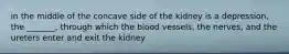 in the middle of the concave side of the kidney is a depression, the _______, through which the blood vessels, the nerves, and the ureters enter and exit the kidney