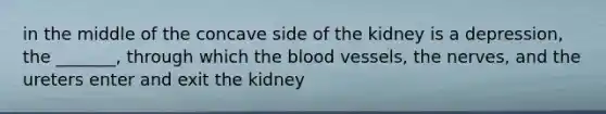 in the middle of the concave side of the kidney is a depression, the _______, through which the blood vessels, the nerves, and the ureters enter and exit the kidney