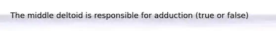The middle deltoid is responsible for adduction (true or false)
