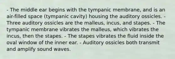 - The middle ear begins with the tympanic membrane, and is an air-filled space (tympanic cavity) housing the auditory ossicles. - Three auditory ossicles are the malleus, incus, and stapes. - The tympanic membrane vibrates the malleus, which vibrates the incus, then the stapes. - The stapes vibrates the fluid inside the oval window of the inner ear. - Auditory ossicles both transmit and amplify sound waves.