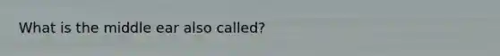 What is the middle ear also called?