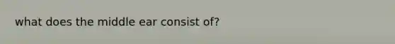 what does the middle ear consist of?