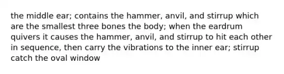 the middle ear; contains the hammer, anvil, and stirrup which are the smallest three bones the body; when the eardrum quivers it causes the hammer, anvil, and stirrup to hit each other in sequence, then carry the vibrations to the inner ear; stirrup catch the oval window